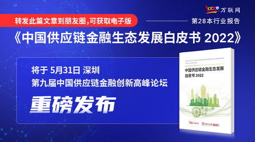 實(shí)業(yè)投資 大消費(fèi)領(lǐng)域的堅(jiān)實(shí)基石與未來機(jī)遇